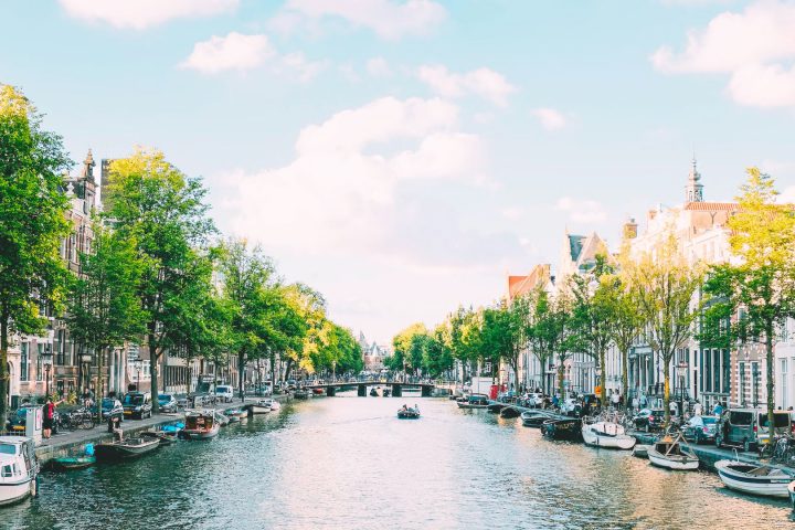 Home &bull; DBK.nl - Masters in Online Business | Websites op maat