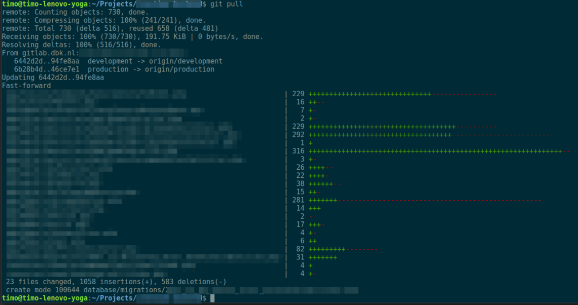 Een typische pull in de projectmap
